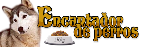 perro.png