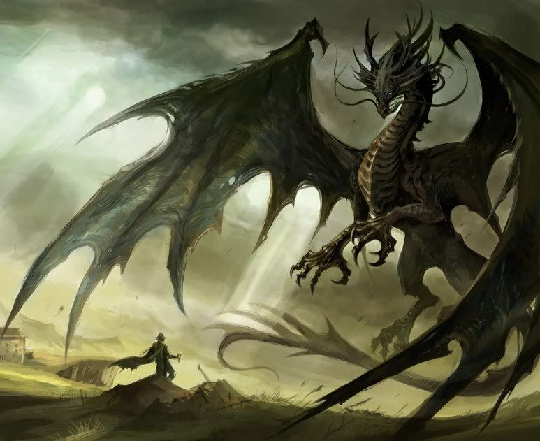 Temeraire_by_sandara.jpg?t=1256428425