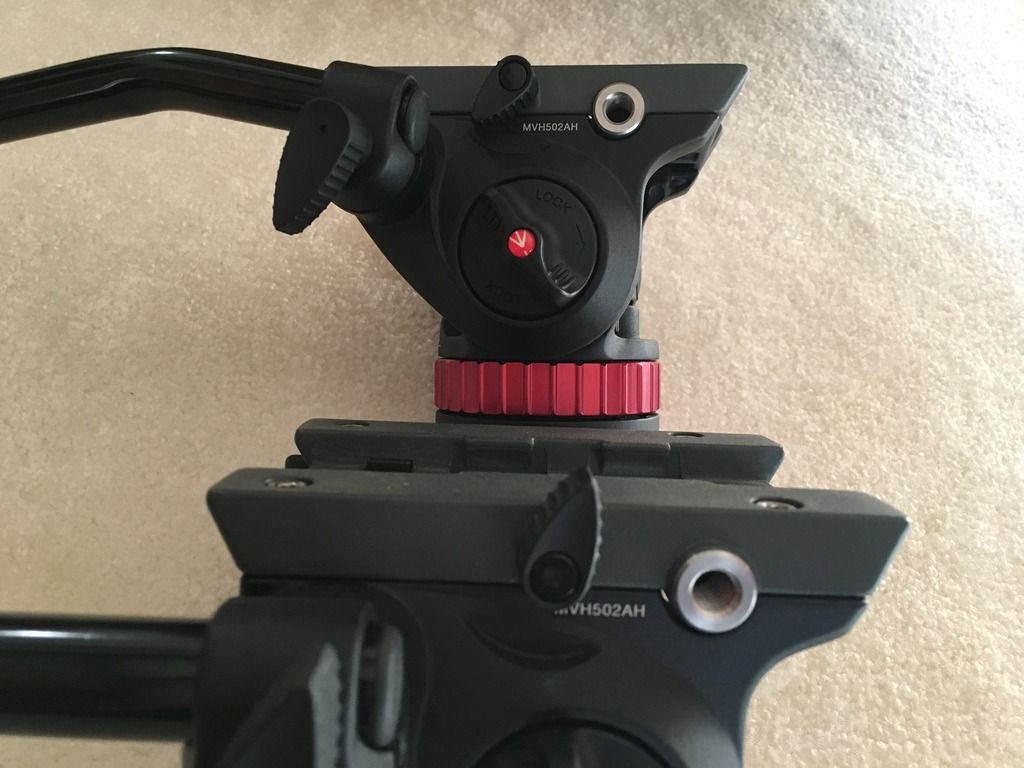 IMAGE: http://i634.photobucket.com/albums/uu64/DanielFrankPhoto/883EA886-0D65-4320-A61F-7854514B3D95_zpsmrwok29d.jpg