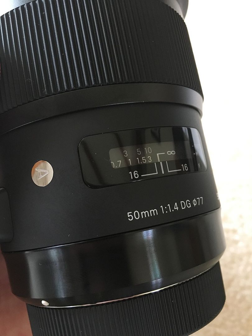 IMAGE: http://i634.photobucket.com/albums/uu64/DanielFrankPhoto/9230C07C-22AA-4F74-B351-1BFD0B3BDC82_zps1g7wlv2l.jpg