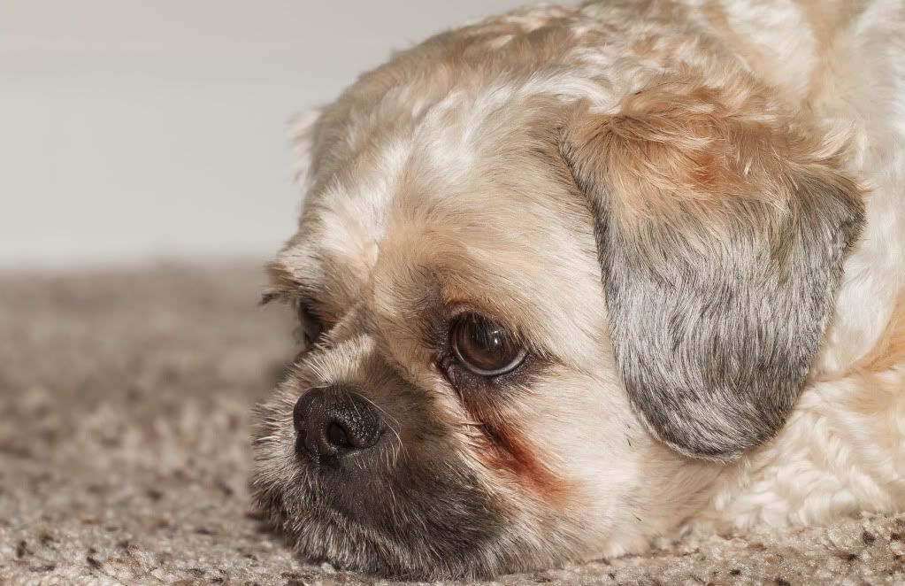 IMAGE: http://i634.photobucket.com/albums/uu64/DanielFrankPhoto/IMG_0683.jpg