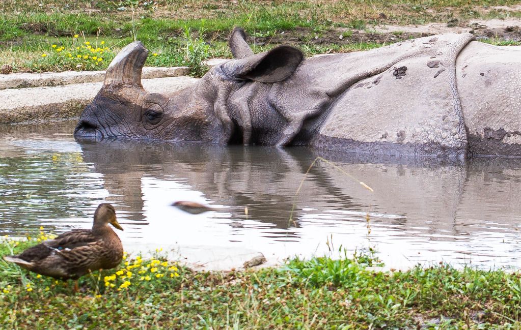 IMAGE: http://i634.photobucket.com/albums/uu64/DanielFrankPhoto/IMG_1490.jpg