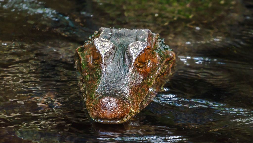 IMAGE: http://i634.photobucket.com/albums/uu64/DanielFrankPhoto/IMG_1571.jpg