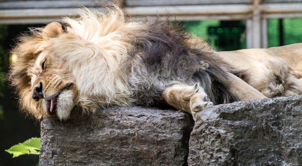 IMAGE: http://i634.photobucket.com/albums/uu64/DanielFrankPhoto/IMG_1632.jpg