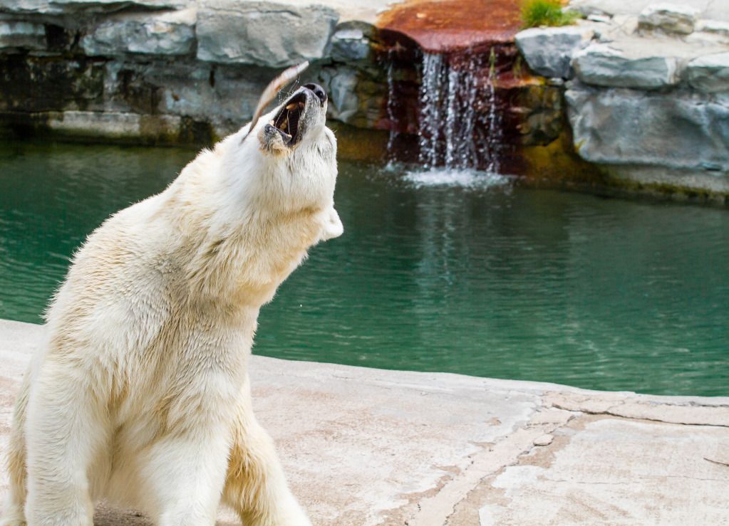 IMAGE: http://i634.photobucket.com/albums/uu64/DanielFrankPhoto/IMG_1751-2.jpg