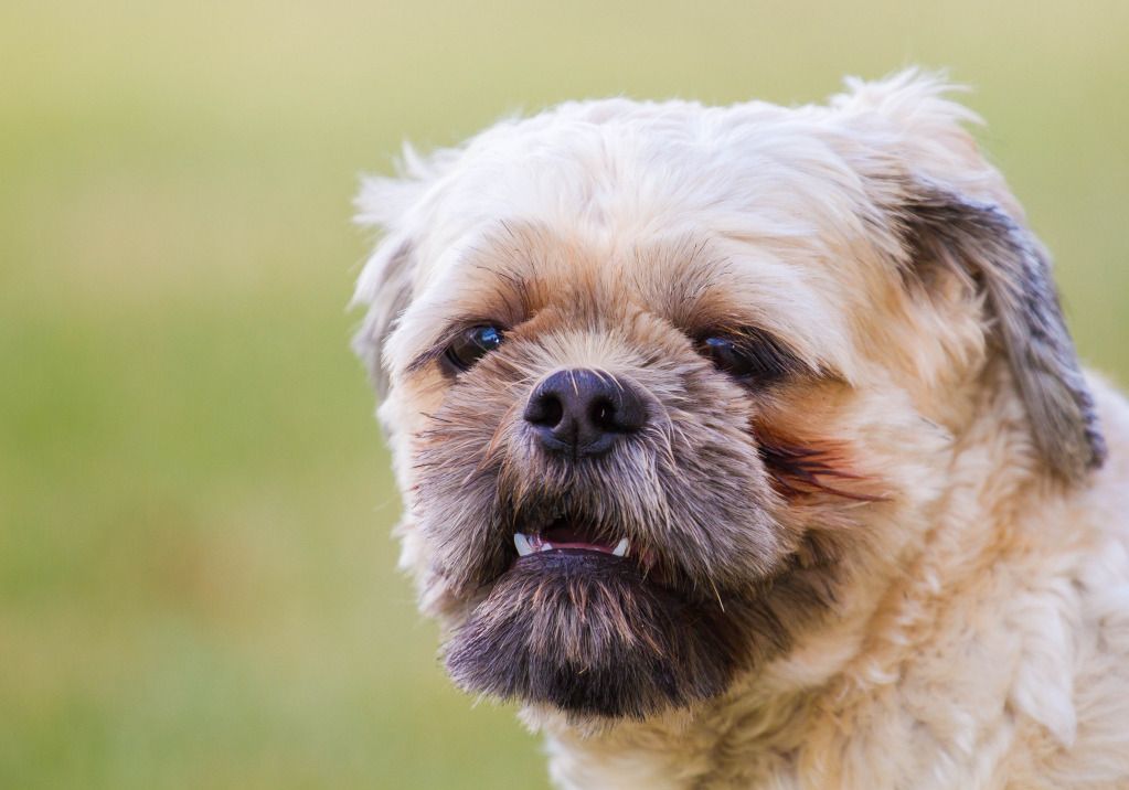 IMAGE: http://i634.photobucket.com/albums/uu64/DanielFrankPhoto/IMG_2488-1.jpg