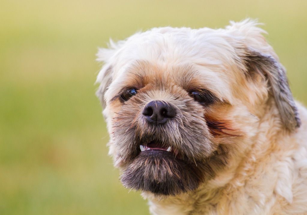 IMAGE: http://i634.photobucket.com/albums/uu64/DanielFrankPhoto/IMG_2488.jpg