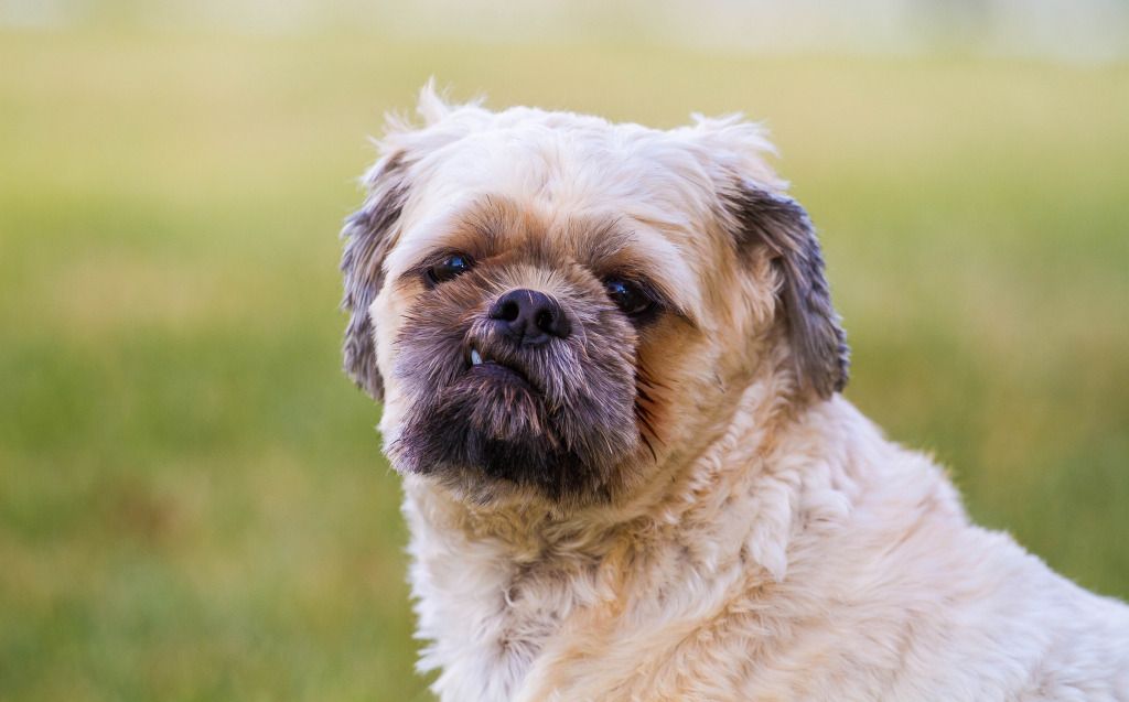 IMAGE: http://i634.photobucket.com/albums/uu64/DanielFrankPhoto/IMG_2492.jpg