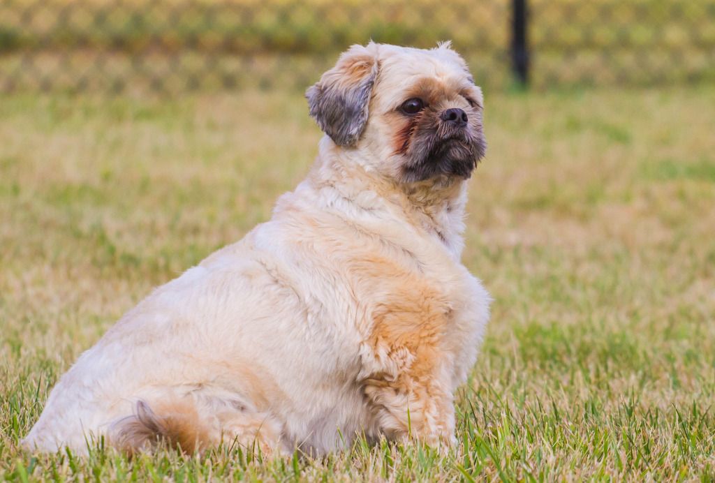 IMAGE: http://i634.photobucket.com/albums/uu64/DanielFrankPhoto/IMG_2523.jpg