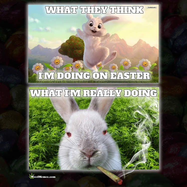  photo easter weed.jpg