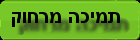 תמיכה מרחוק