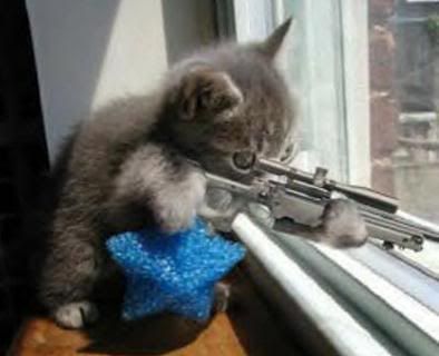 Kitty-Sniper.jpg