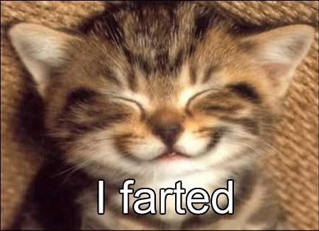 Cat I Farted